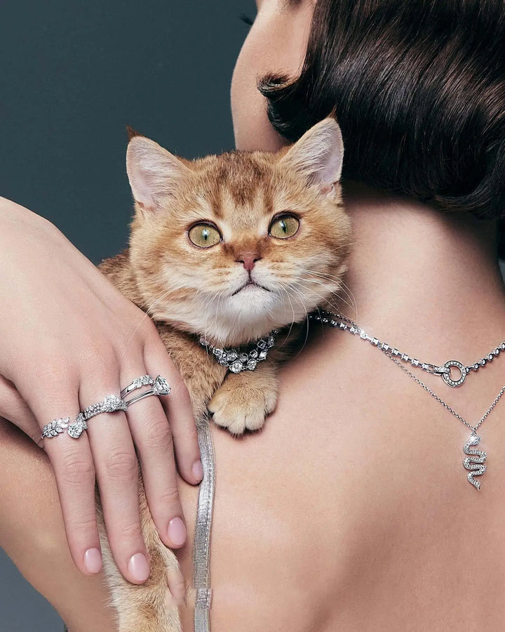 925 silver Necklace & Pendants