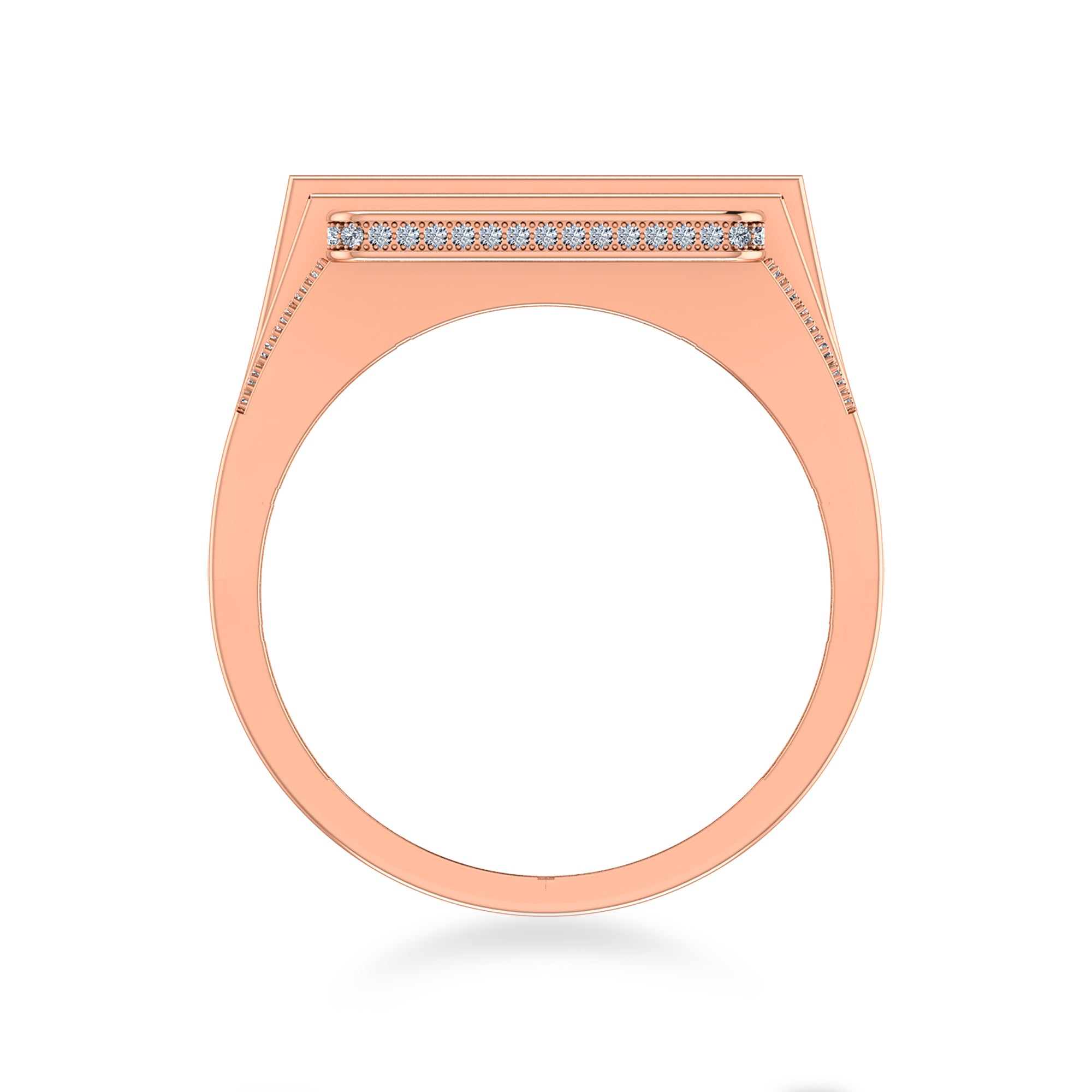 Celestial Wonder Diamond Ring band