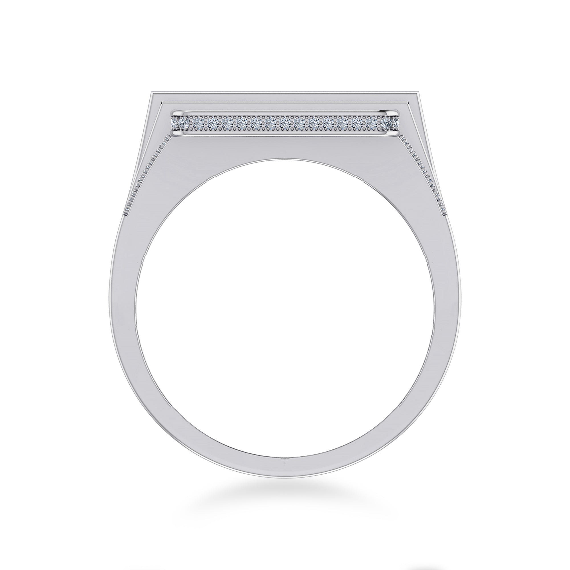 Celestial Wonder Diamond Ring band